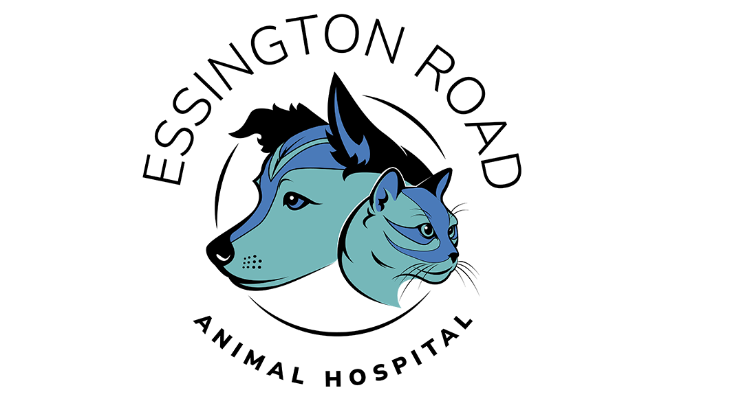 Essington Road Animal Hospital