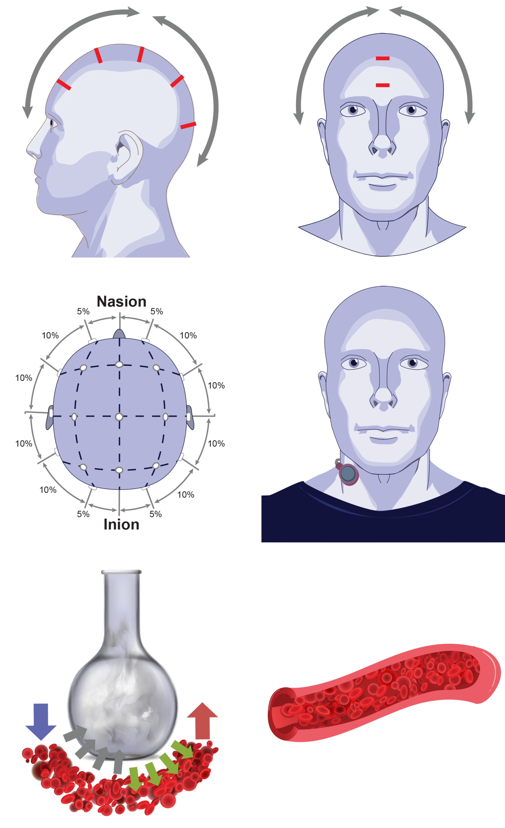 Medical_Images_1_Basics_of_Electrode-Application_EEG_EOG PJ5K Inside heroes by Kelly Cardinal Designs.